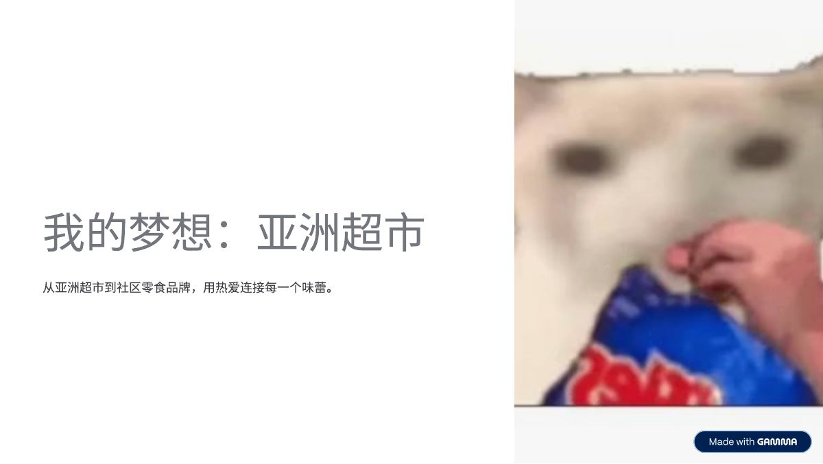 高梦雨《我的梦想》作品封面